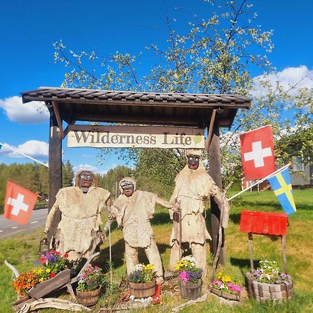 Elch Zimmer Wilderness Life Arvidsjaur Bagian luar foto
